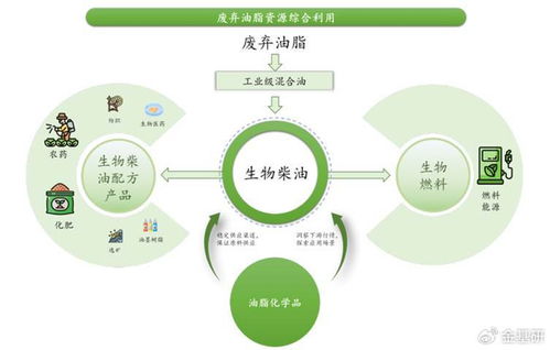 豐倍生物 技術創新驅動綠色全產業鏈，生物柴油市占率領先